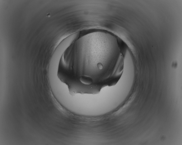 X0000094451289200711211510