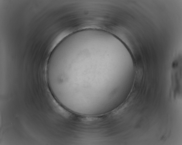 X0000094451290200711211510