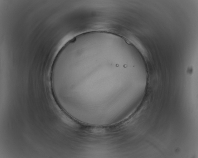 X0000094451291200711211510