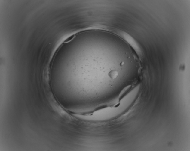 X0000094451292200711211510