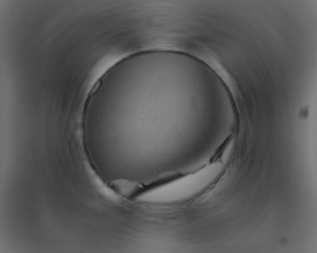 X0000094451293200711211510