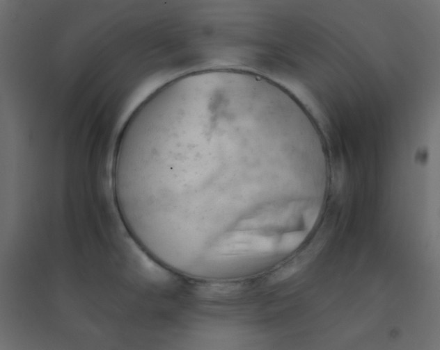 X0000094451294200711211510