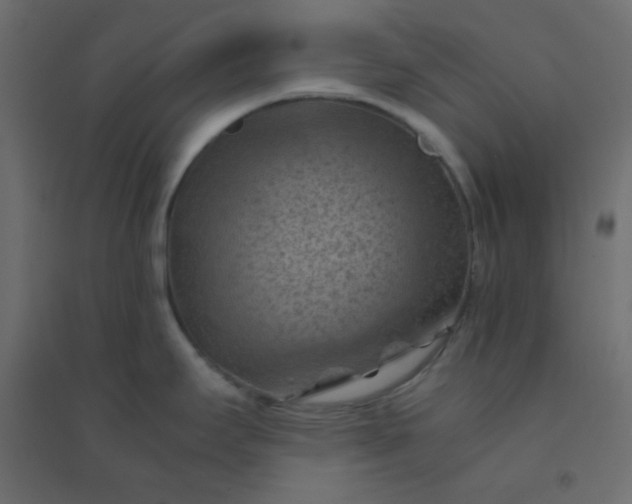 X0000094451295200711211510