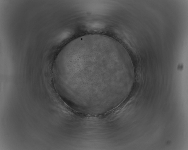 X0000094451297200711211509