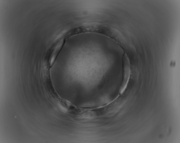 X0000094451298200711211509