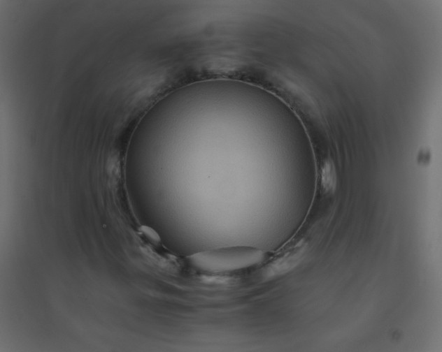 X0000094451299200711211509