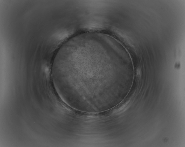 X0000094451300200711211509