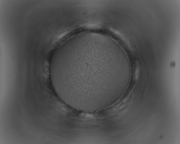 X0000094451301200711211509