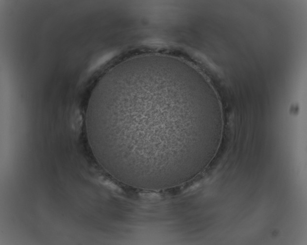 X0000094451302200711211509