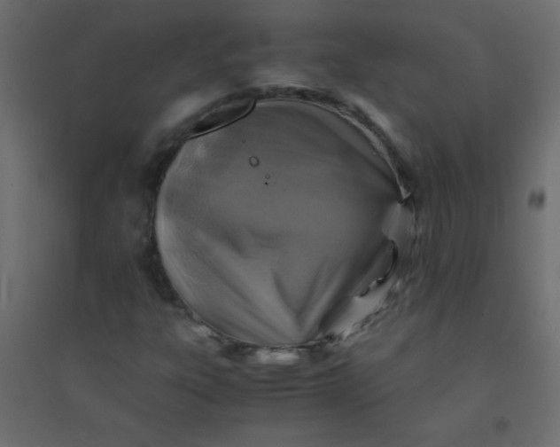 X0000094451303200711211509