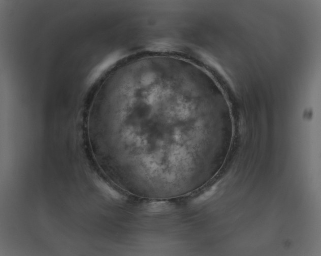 X0000094451304200711211509
