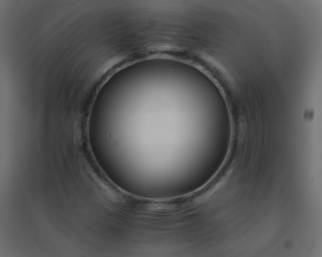 X0000094451305200711211509