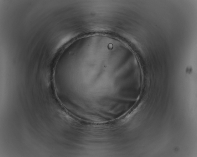 X0000094451306200711211509