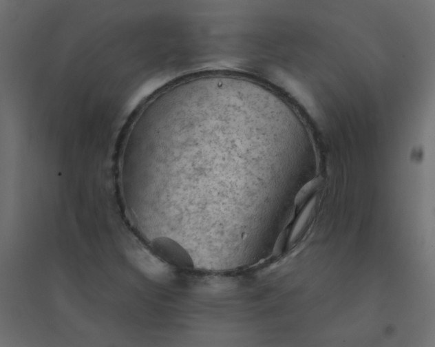 X0000094451308200711211509