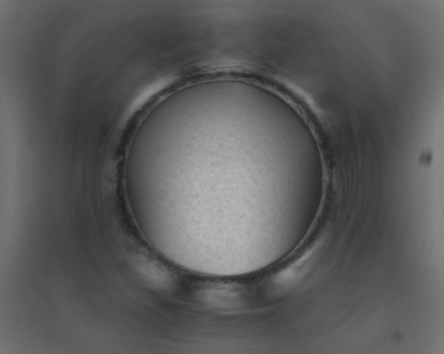 X0000094451309200711211509