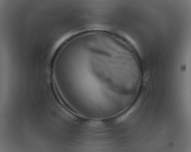 X0000094451310200711211509