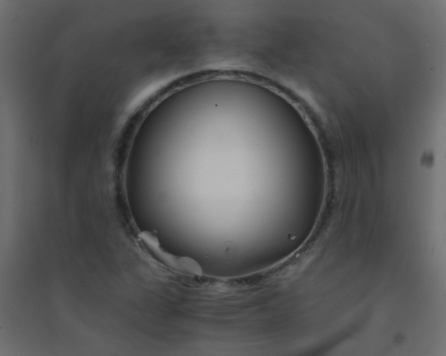 X0000094451311200711211510