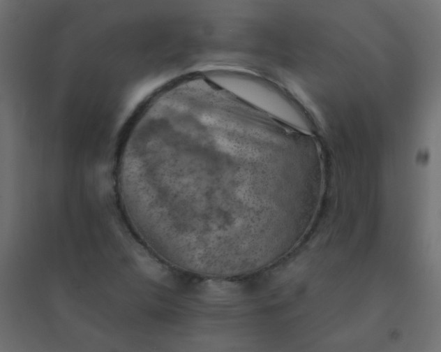 X0000094451312200711211510