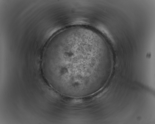 X0000094451313200711211510