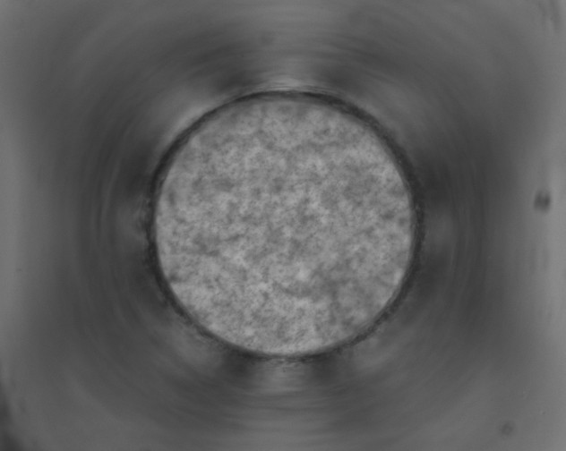 X0000094451314200711211510