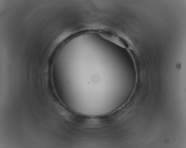 X0000094451315200711211510