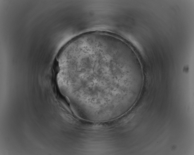 X0000094451316200711211510