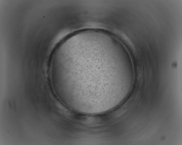 X0000094451318200711211510