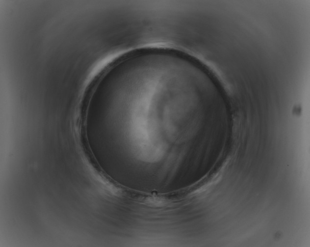 X0000094451319200711211510
