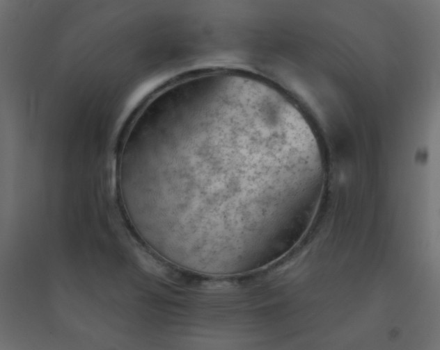 X0000094451320200711211510