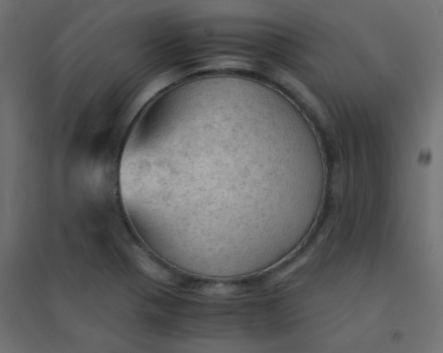 X0000094451321200711211510