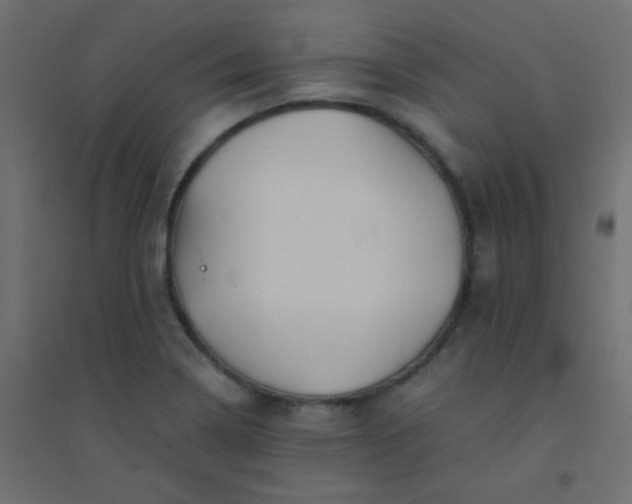 X0000094451322200711211510
