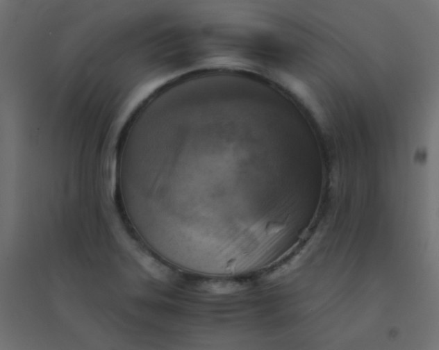 X0000094451323200711211510