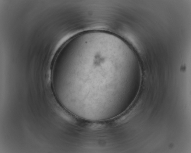 X0000094451324200711211510