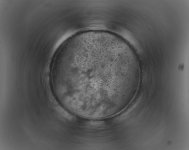 X0000094451325200711211510