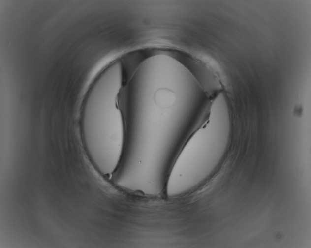 X0000094451326200711211510