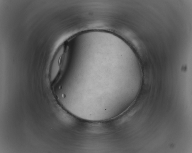 X0000094451328200711211510