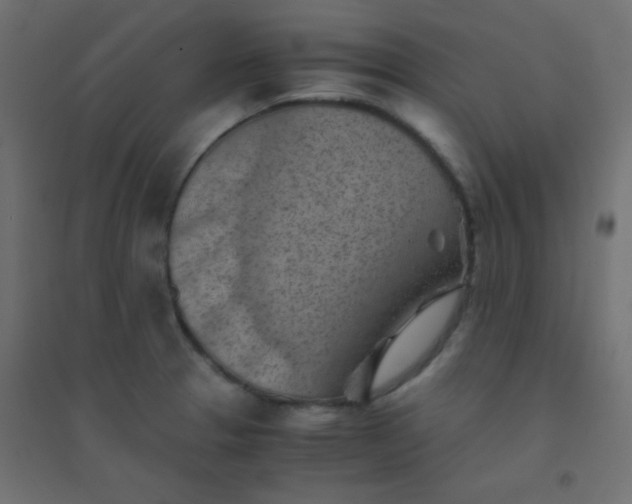 X0000094451329200711211510