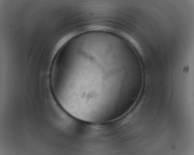 X0000094451330200711211510