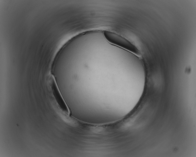 X0000094451332200711211510
