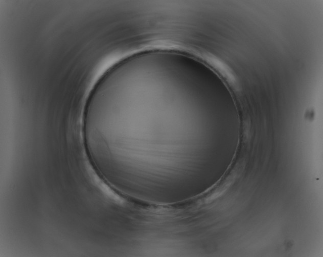 X0000094451334200711211510