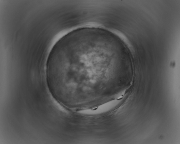 X0000094451335200711211510