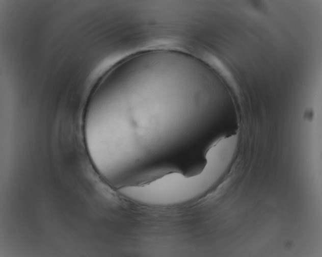 X0000094451336200711211510