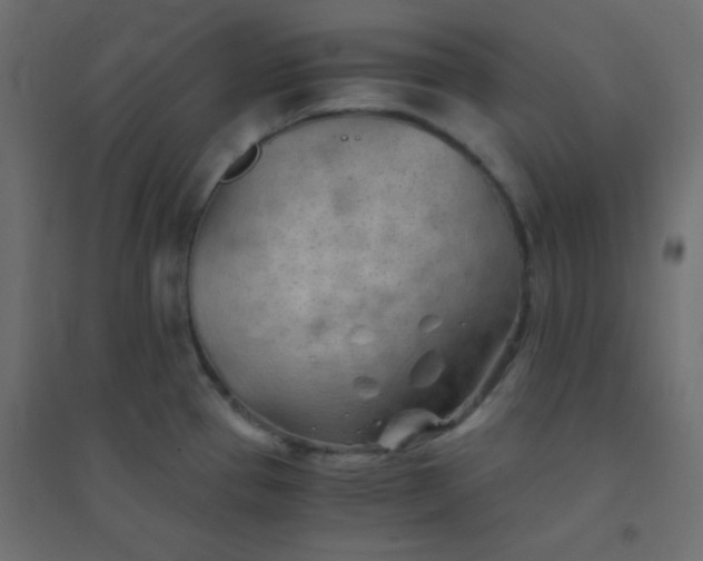 X0000094451337200711211510