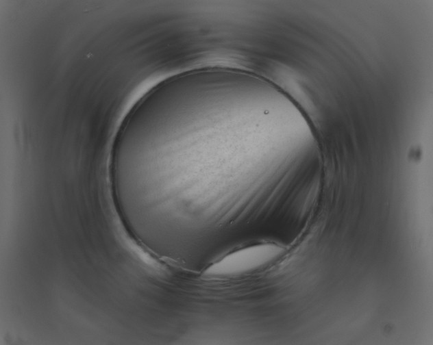 X0000094451339200711211510