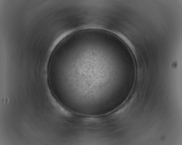 X0000094451341200711211510