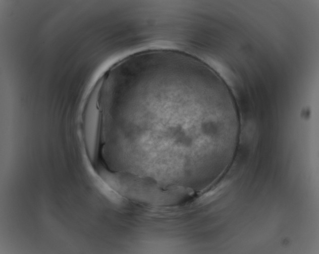 X0000094451342200711211510