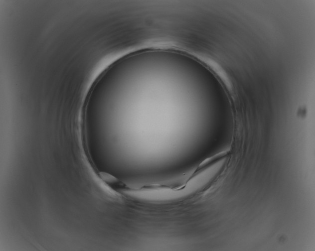 X0000094451343200711211510