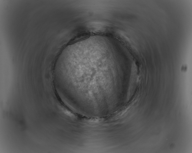 X0000094451345200711211509