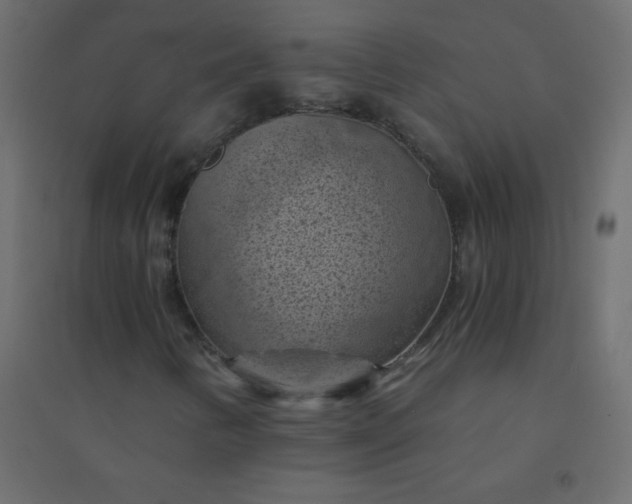 X0000094451346200711211509