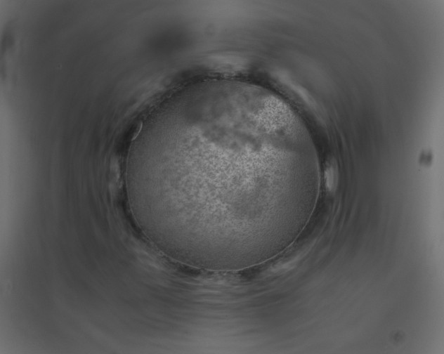 X0000094451347200711211509
